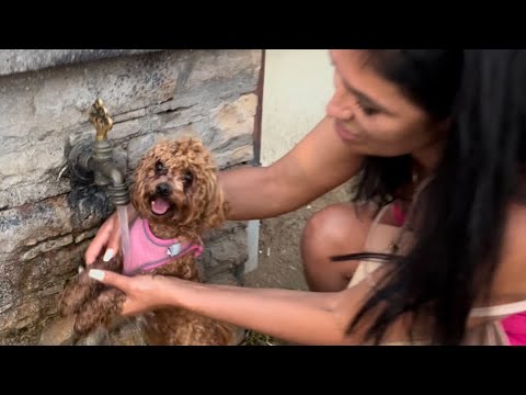 They won't leave us with LEYLA in the hotel! Ruined vacation🥺