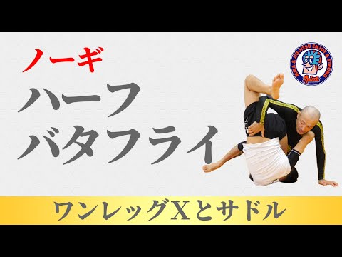 ノーギハーフバタフライ