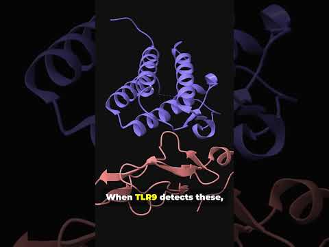 TLR9: The Immune System's Secret Weapon