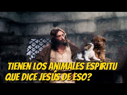 Tienen los animales espíritu, qué dice Jesús