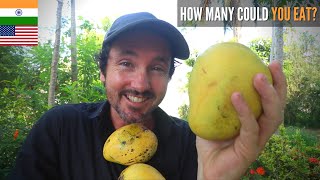 I ONLY ate INDIAN MANGOES for 24 HOURS! Foreigner in India