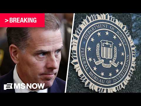 BREAKING: Two ex-FBI agents charged with lying to Congress in relation to Hunter Biden probe