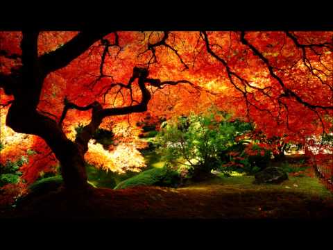 CoLd_Friction - Disappear (Ft Madi Larson)