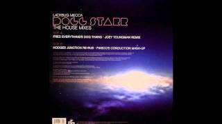 Ladybug Mecca-Dogg Starr-(Jason Hodges Mix).