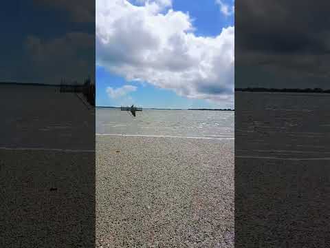 Porto da Lama em cajueiro da praia Piauí 2026 #nordeste #piauiense