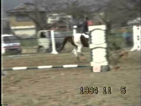 1994/11/05　Jumping in MIE N C(30cm)
