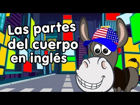 Partes del cuerpo en inglés - Canciones Infantiles - Doremila