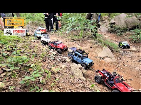 RC Car Team Trail - Forest Rock Crawling 1 - ASMR (TRX4, SCX10 II, RC4WD, BRX02, MST-CMX, Vanquish)