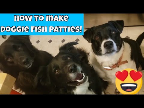 How to make Doggie Fish Patties!