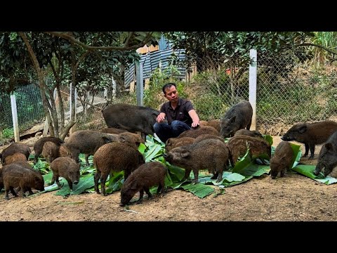 Jhony is gradually recovering his health and continuing his daily work on the farm.