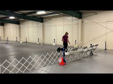 Smitten Rally Advanced A 8/7/22