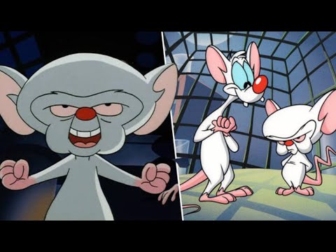 Pinky and the Brain Best Moments