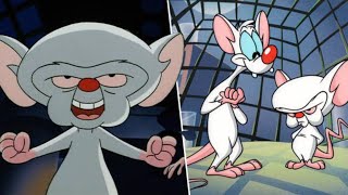 Pinky and the Brain Best Moments