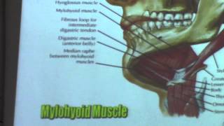 9-(neck) Dr.Hossam Yahia 23-11-2015 ( suprahyoid muscles, until ,extrinsic muscles of tongue)
