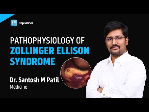 Pathophysiology of Zollinger Ellison Syndrome by Dr. Santosh M Patil