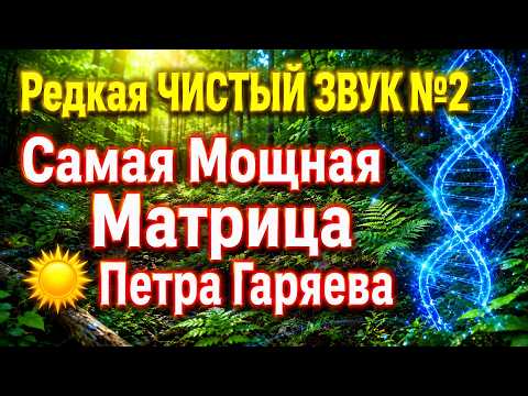 Редкая ЧИСТЫЙ ЗВУК №2 Самая Мощная Матрица ☀️ Петра Гаряева