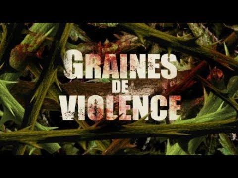 #75 - Graines de violence