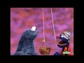 Pull Elmo World Weather US HQ