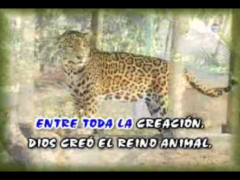 download lagu mp3 mp4 La Obra De Arte Soy Yo, download lagu La Obra De Arte Soy Yo gratis, unduh video klip Download La Obra De Arte Soy Yo Mp3 dan Mp4 Music Gratis