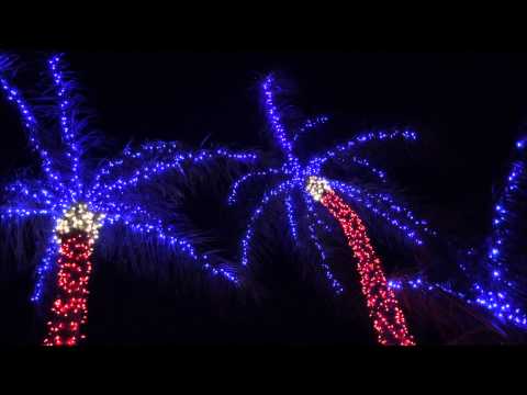 Mazoch Christmas Display 2014 - Animatronics