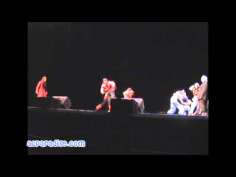 Fanime 2011 - #S31 Team Obsidian Pokemans