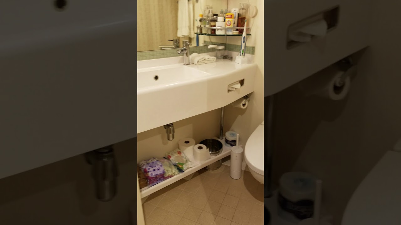 Regal Princess - Cabin L111 - Video 1