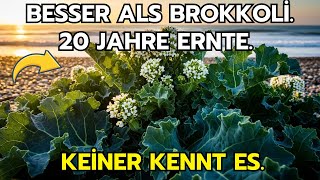 Besser als Brokkoli und Orange zusammen. Wächst 20 Jahre. Warum kennt es niemand