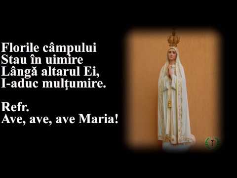 Îngerii cerului cântă fecioarei