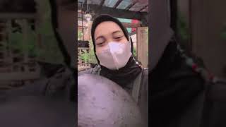 Download lagu Vidio Mentahan Halu jemput cewe cantik Buat Story' Wa Manasin Mantan mp3