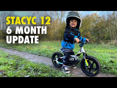 STACYC 12eDrive - 6 months update