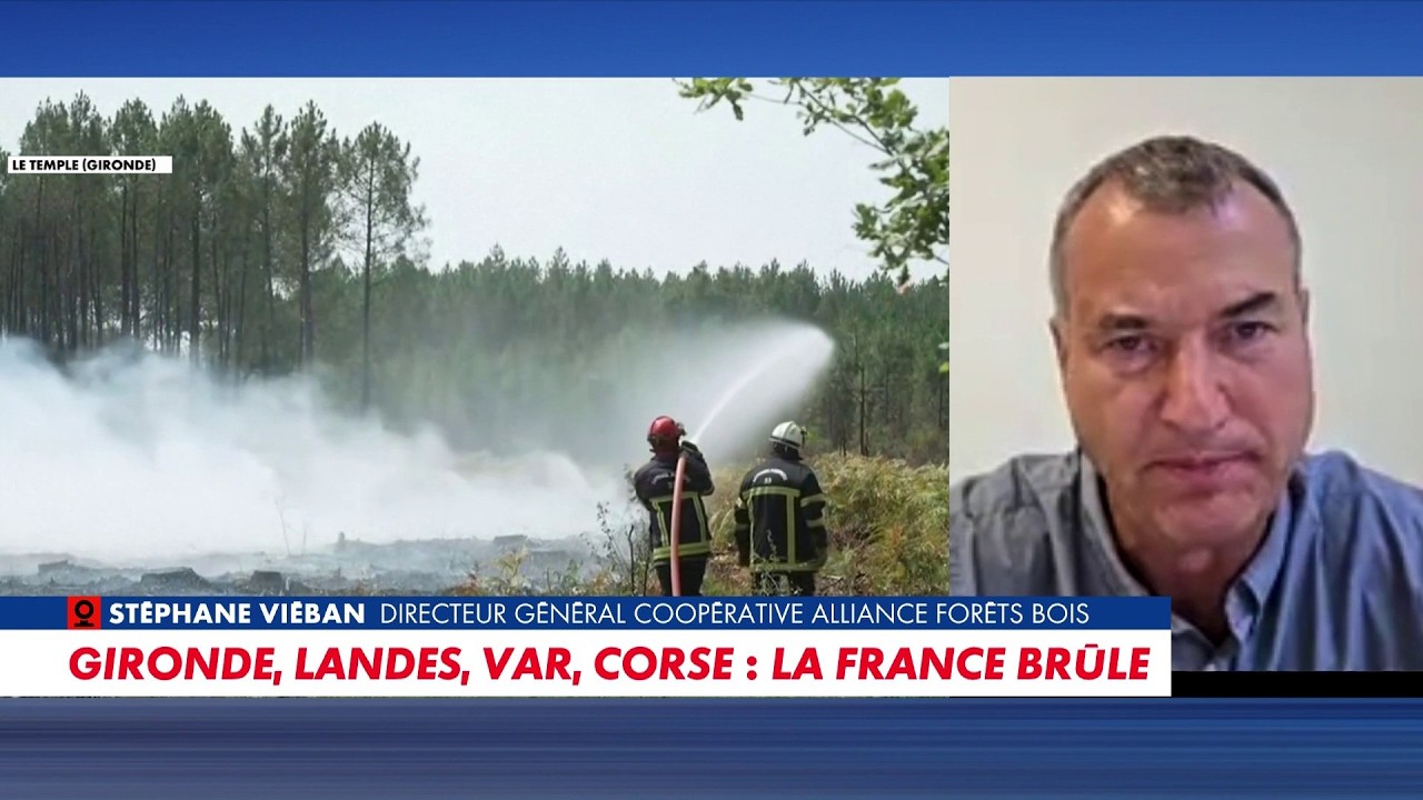 Illustration: Incendies : le scandale des 90% de maisons non débroussaillées