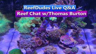 ReefDudes Live Q&A Reef Chat with Thomas Burton