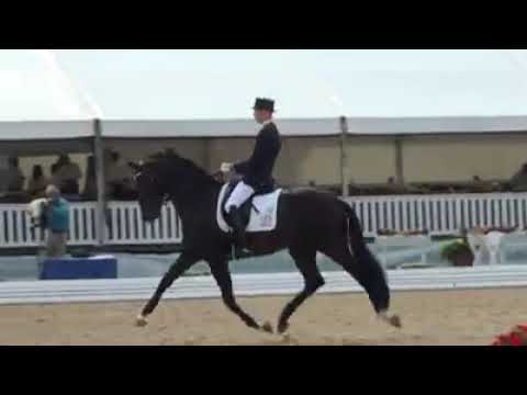 IPS Bon Bravour (Painted Black x Chronos) - Tom Franckx-Goen BEL - WM Verden