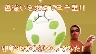 ［ポケモンGO］色違い狙って孵化○○連してみた！