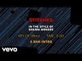 Shawn Mendes - Stitches (Karaoke) 