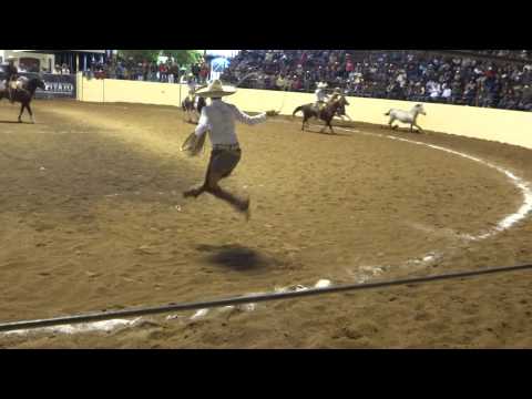 Tamariz CYM sigue innovando en las manganas de Charly Maurer