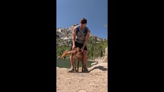 those birthday stomps are everything ☺️ @adventuringwithnala #goldenretriever #nature #hiking
