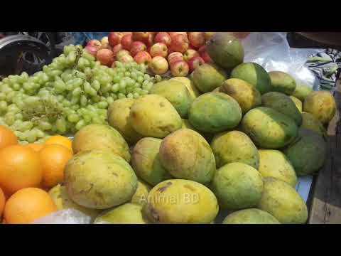 fruits price chattagram fruits market । Animal BD ।