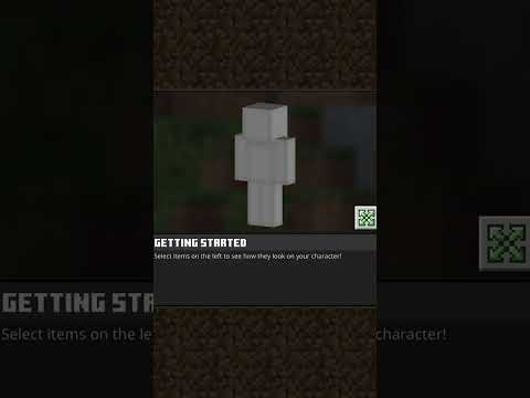 Melon Stem - If you got custom skins in bedrock, then what's the point of following Mojang's taste