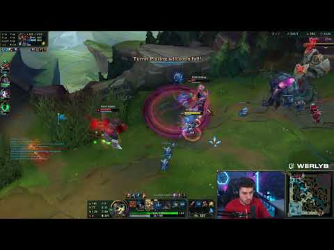 Ole tu p**** gorda / Werlyb