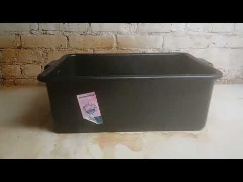 Dirty Bus Buckets, Fruit Flies, & Mold Found...