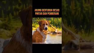 Download lagu ANJING PINTAR NEMU BONGKAHAN EMAS DI SUNGAI #alurceritafilm #film mp3 Download lagu ANJING PINTAR NEMU BONGKAHAN EMAS DI SUNGAI #alurceritafilm #film mp3