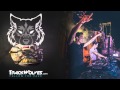 Blasterjaxx - Live @ Electric Daisy Carnival 2015 ...