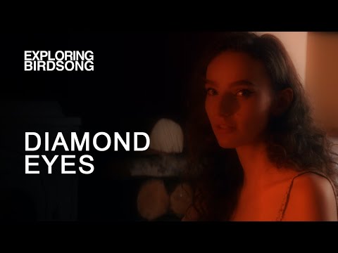 Exploring Birdsong  - Diamond Eyes (Deftones Cover) - Official Video