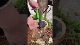 Download lagu Practical Tools for Climbing Trees #simpletools #agriculture #gardeningtips #fruit mp3 Download lagu Practical Tools for Climbing Trees #simpletools #agriculture #gardeningtips #fruit mp3