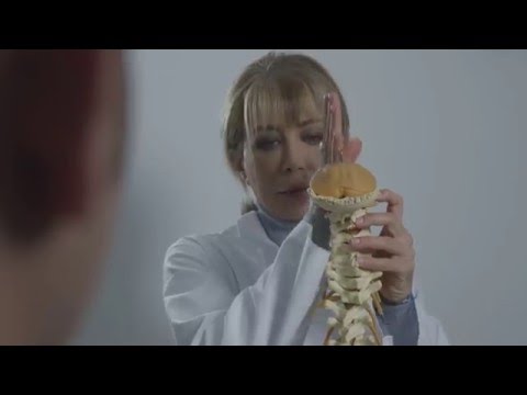 Infiammazione dellarticolazione del gomito nei cuccioli Dolore dimexide al collo