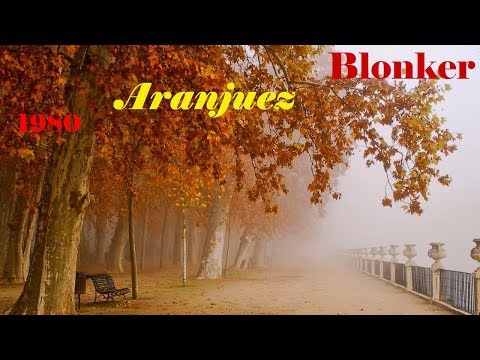 Blonker ‎– Aranjuez (1980)