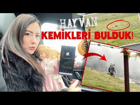 I TRIED THE APP THAT SHOULD NOT BE TRIED WITH MY NEW CURSE DOLL! (SHOCK...)