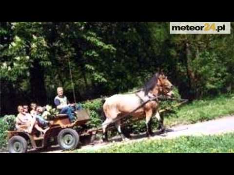 Agroturystyka Stara Chata U Kowola - Kluczewo meteor24.pl