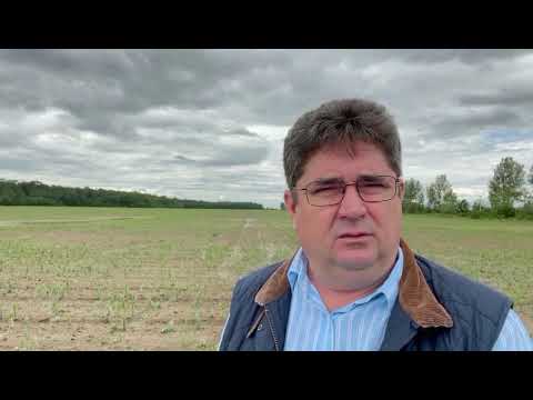 Grindina face prăpăd la Răcari!